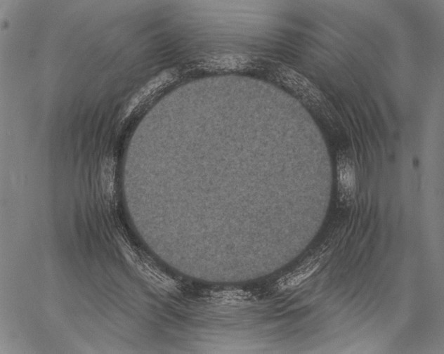 X0000060550396200512011621