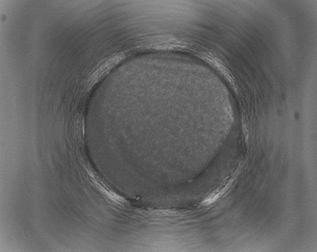 X0000060550397200512011621