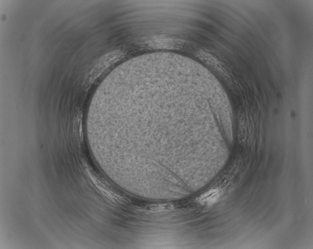 X0000060550398200512011621