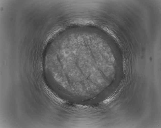 X0000060550399200512011621