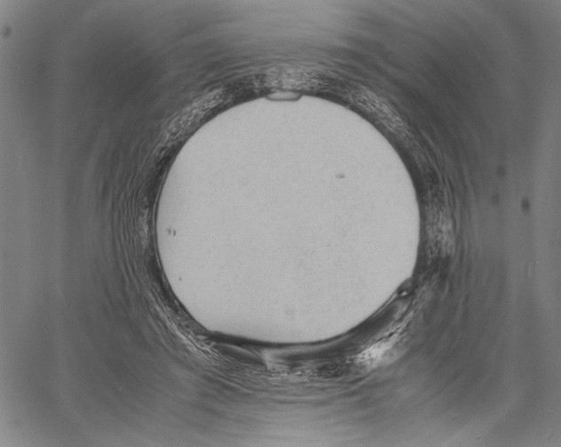 X0000060550401200512011621