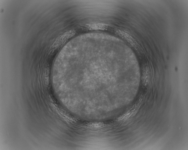 X0000060550402200512011621