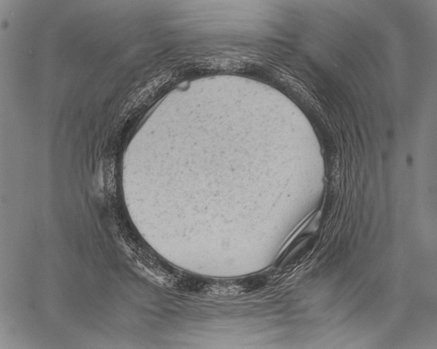 X0000060550403200512011621