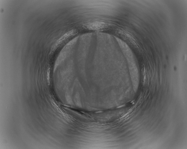 X0000060550404200512011621