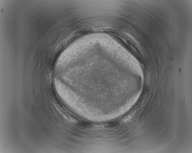 X0000060550405200512011621