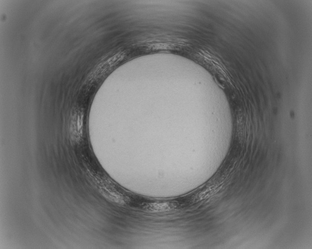 X0000060550406200512011621