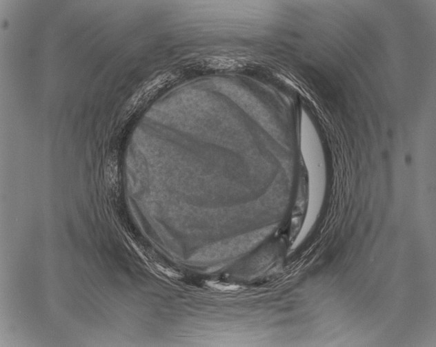 X0000060550407200512011621