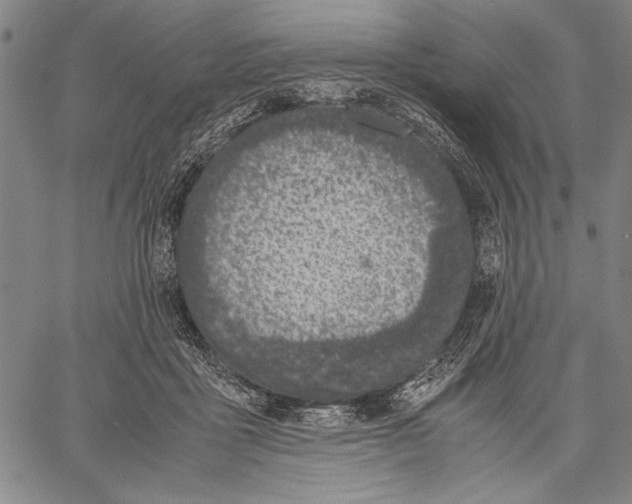 X0000060550411200512011621