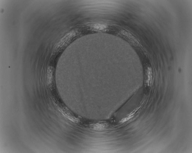 X0000060550412200512011621