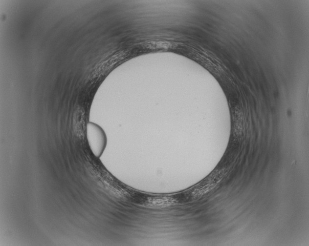 X0000060550414200512011621