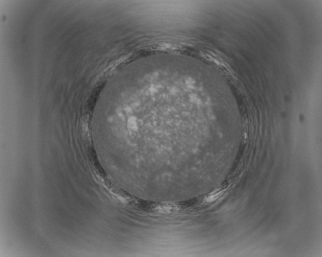 X0000060550415200512011621