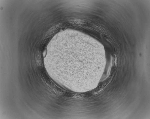 X0000060550416200512011621