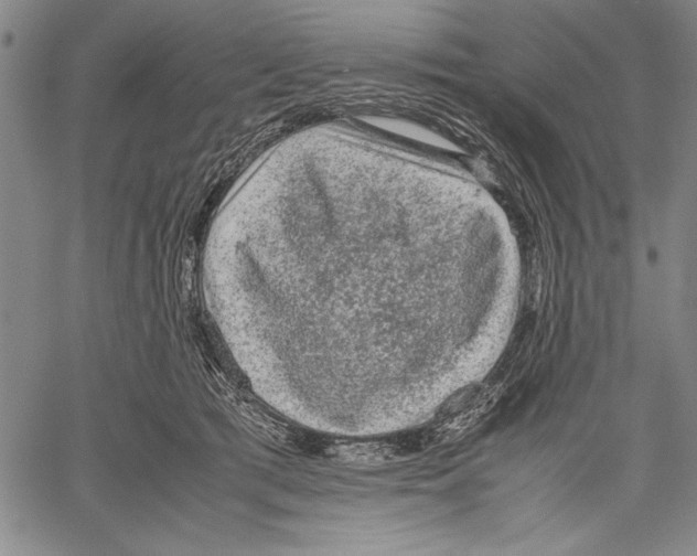 X0000060550417200512011621