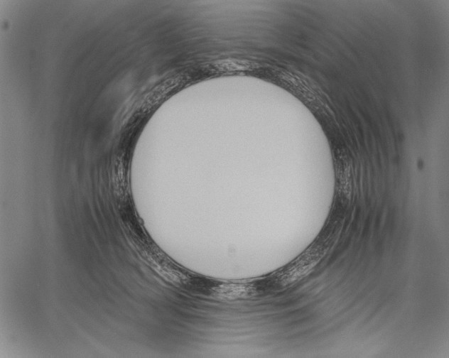 X0000060550418200512011621