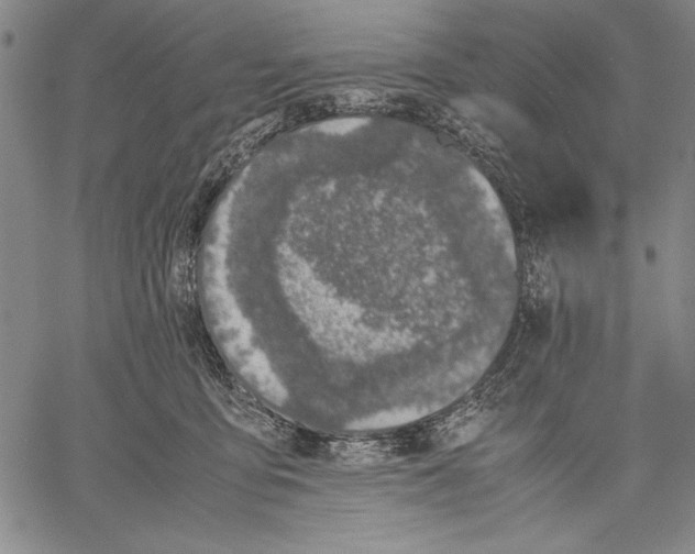 X0000060550419200512011621