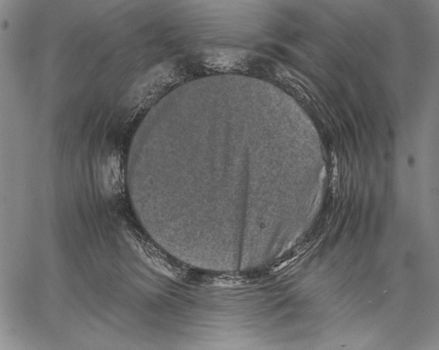 X0000060550420200512011621