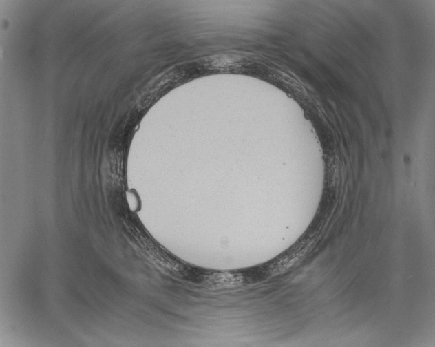 X0000060550421200512011621