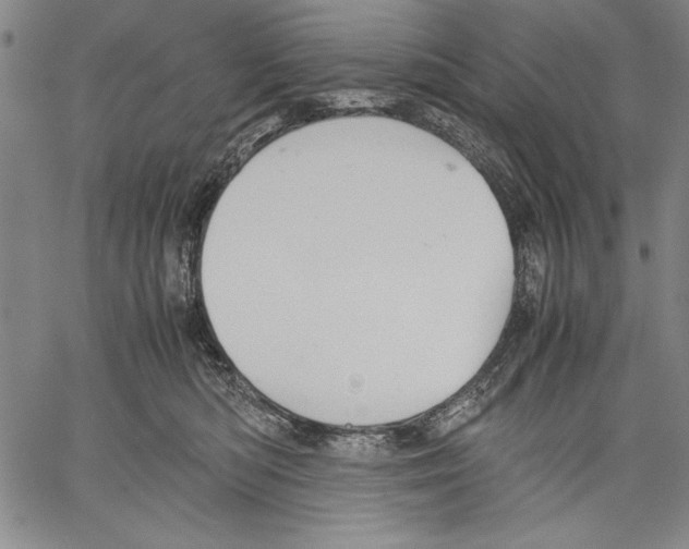 X0000060550422200512011621