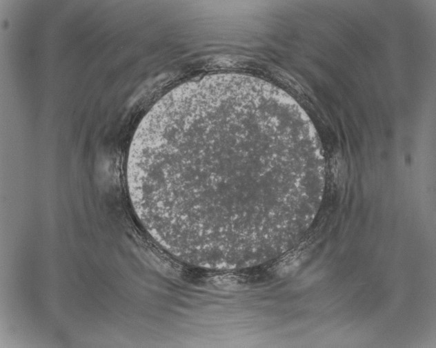 X0000060550423200512011621