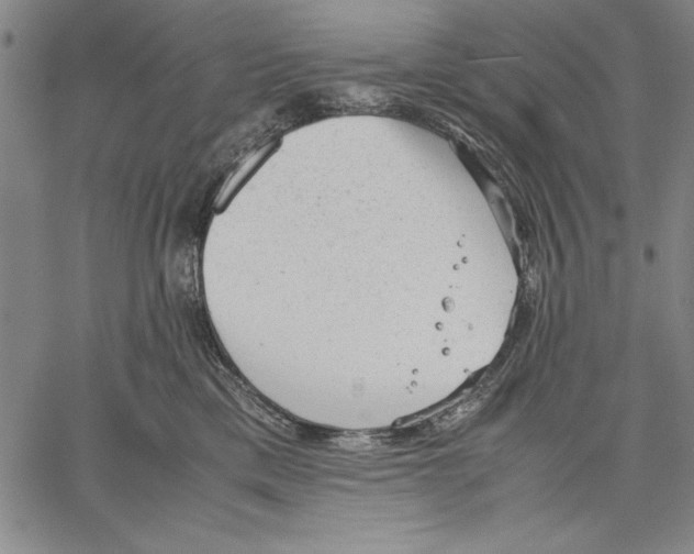 X0000060550425200512011621