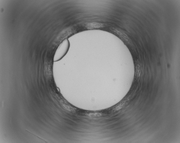 X0000060550426200512011621