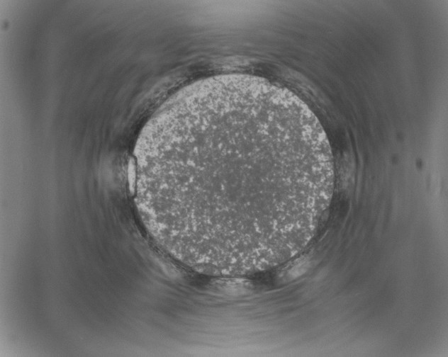 X0000060550427200512011621