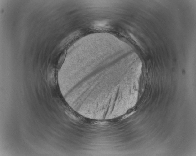 X0000060550428200512011621