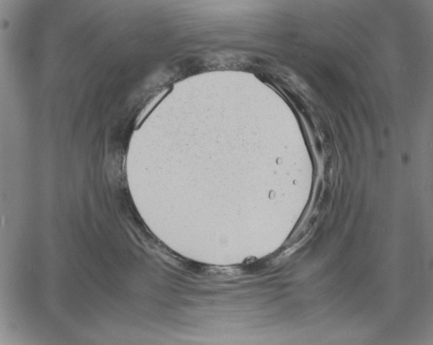 X0000060550429200512011621