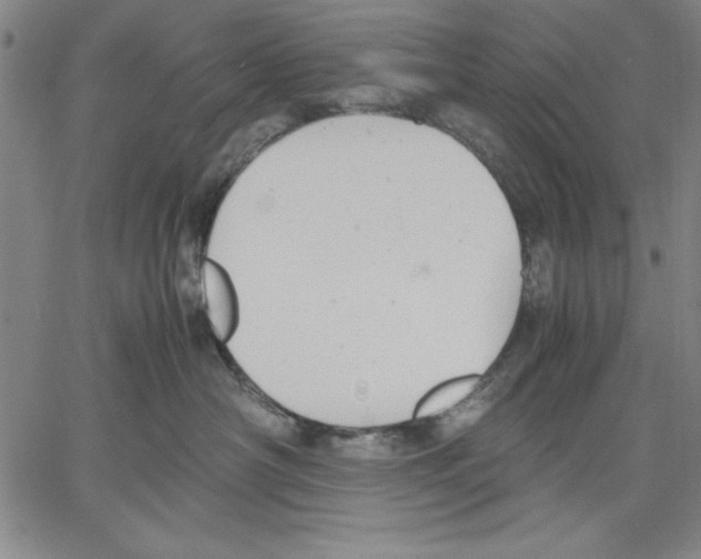 X0000060550430200512011621