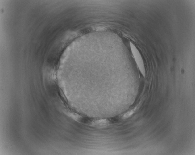 X0000060550431200512011621