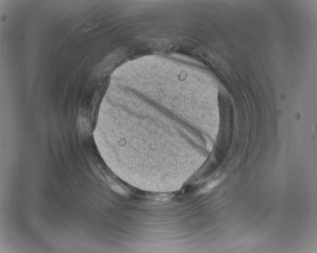 X0000060550432200512011621