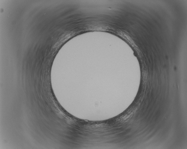 X0000060550433200512011620