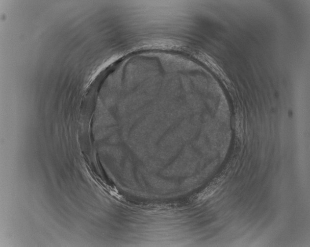 X0000060550434200512011620