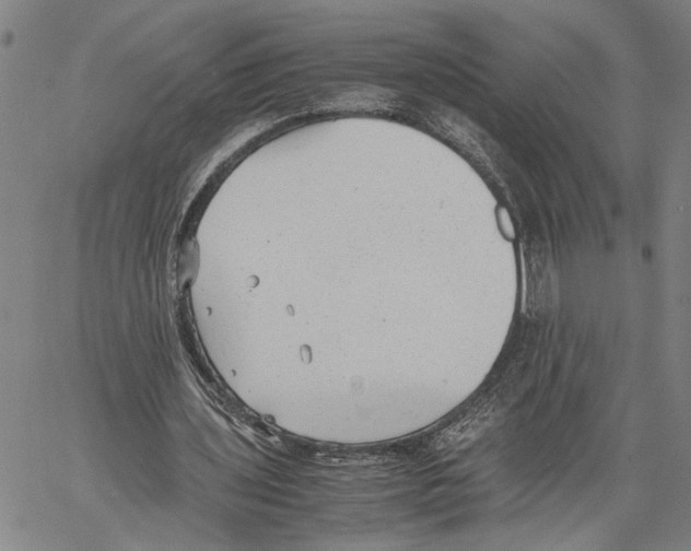 X0000060550435200512011620