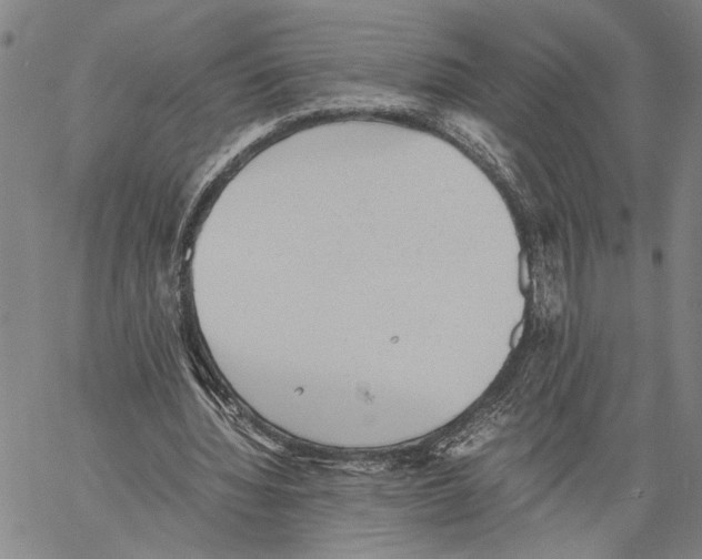 X0000060550436200512011620