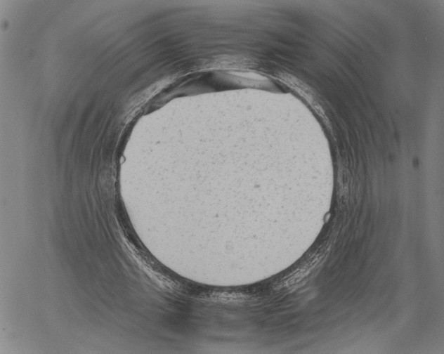 X0000060550437200512011620