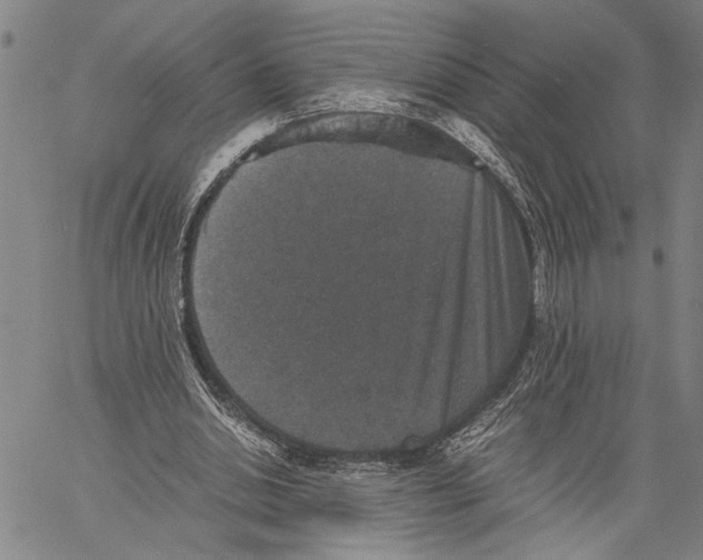 X0000060550438200512011620