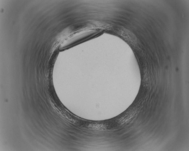 X0000060550440200512011620