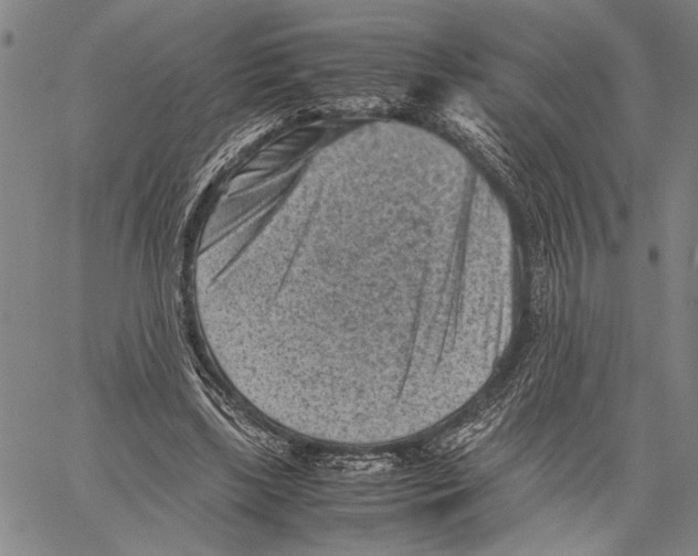 X0000060550443200512011620