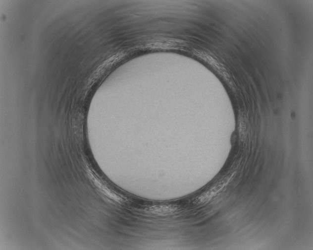 X0000060550445200512011620