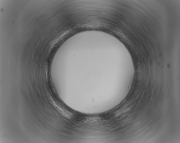 X0000060550446200512011620