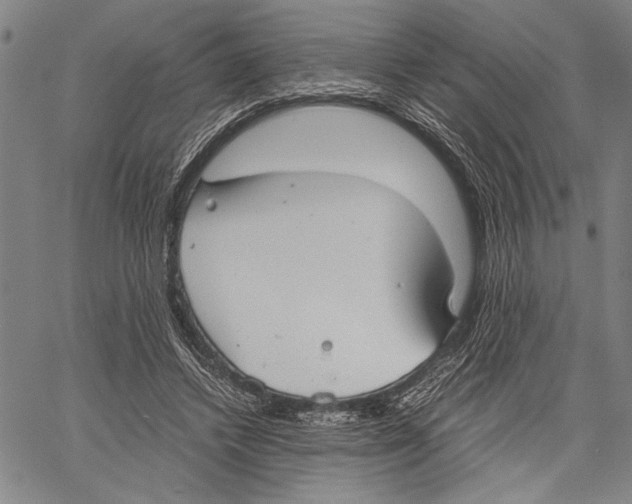 X0000060550448200512011620