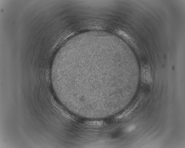 X0000060550449200512011620