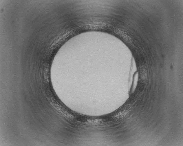 X0000060550450200512011620