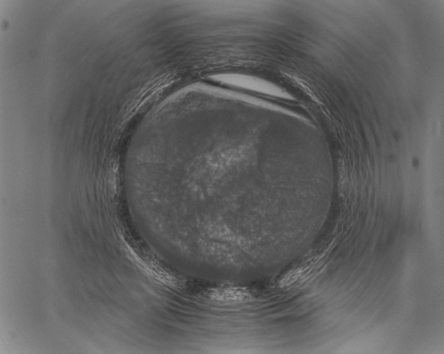 X0000060550451200512011620