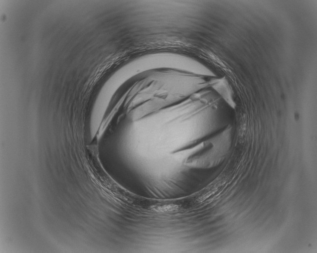 X0000060550452200512011620