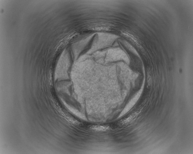 X0000060550453200512011620