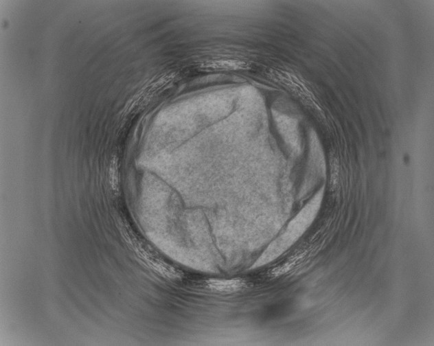 X0000060550457200512011621