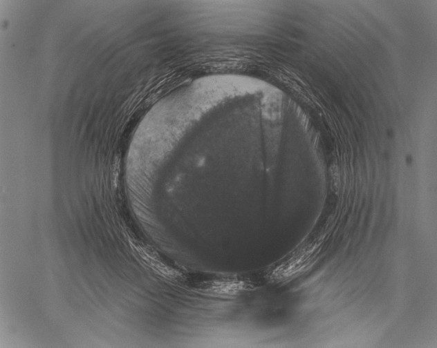 X0000060550458200512011621