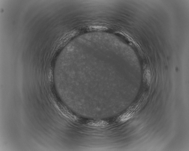 X0000060550459200512011621